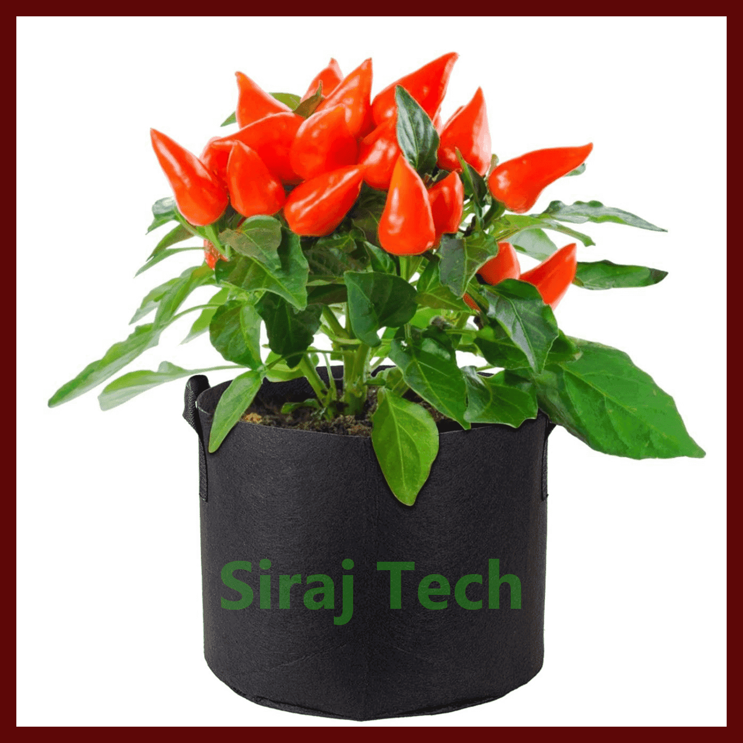 Black Geo Gardening Grow bag price | ছাদ বাগানের জন্য জিও গ্রো ব্যাগ - Black 300GSM 2