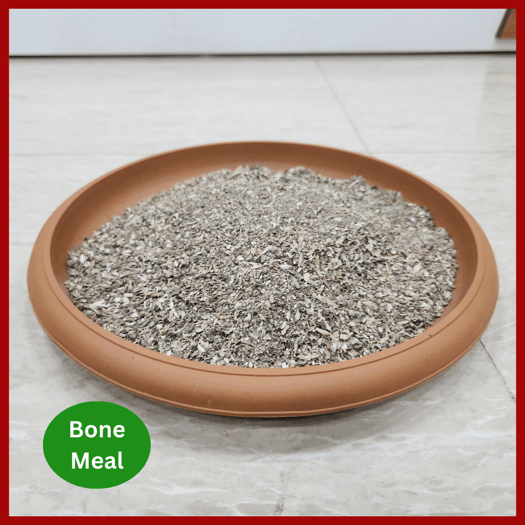 Bone meal fertilizer - হাড়ের গুড়া