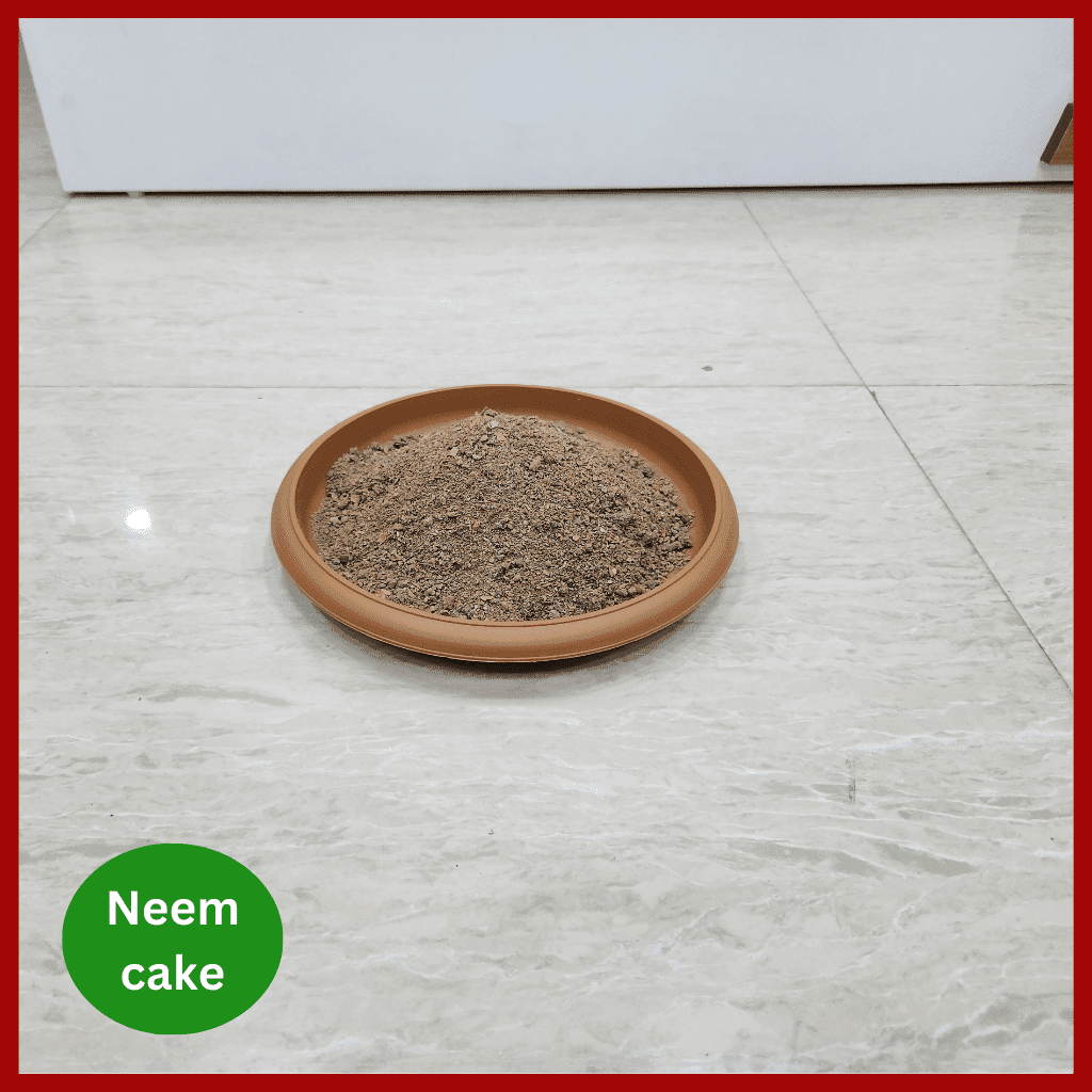 Neem Cake Fertilizer - নিম খৈল 3