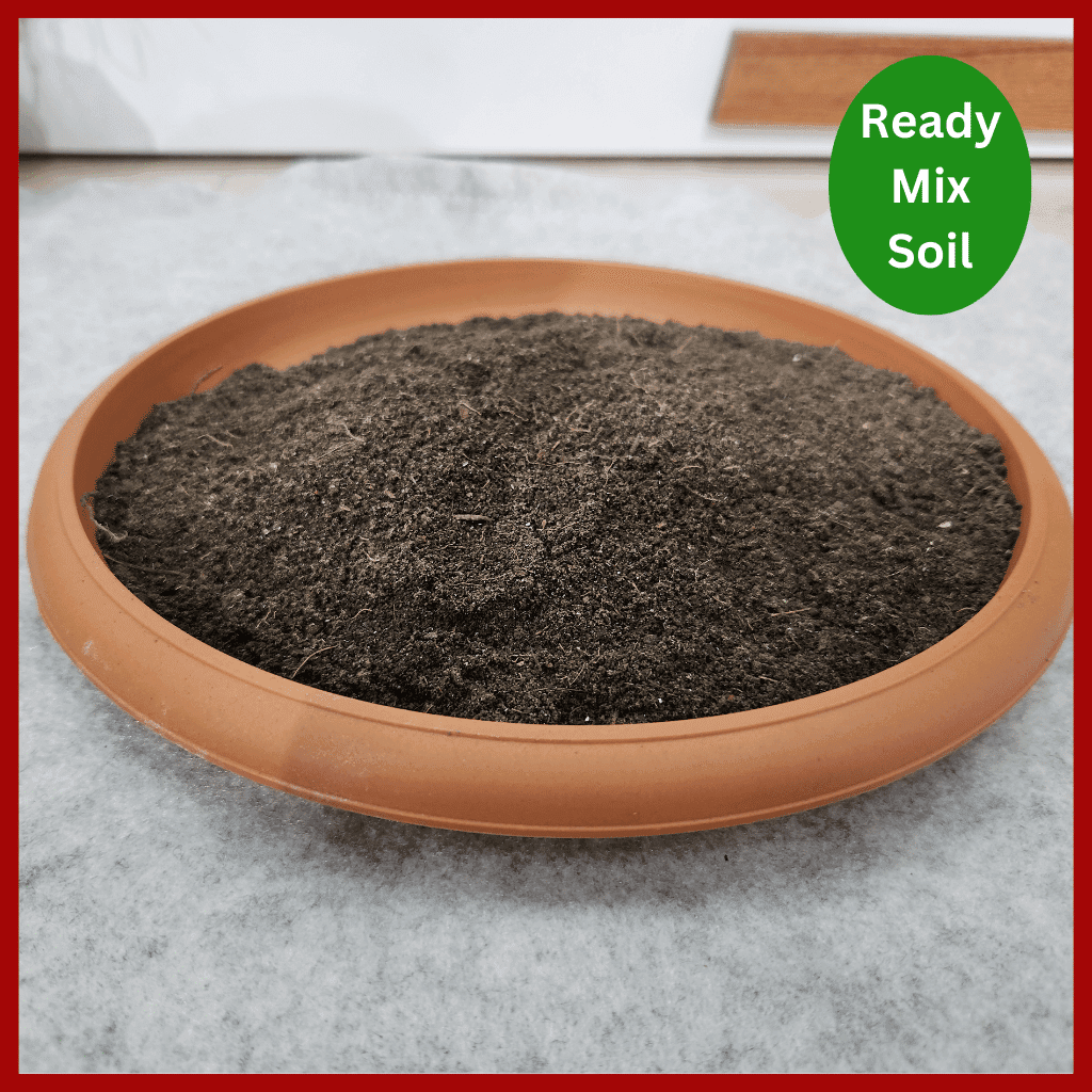 Ready Mix Soil Premium Quality । রেডিমিক্স মাটি 3