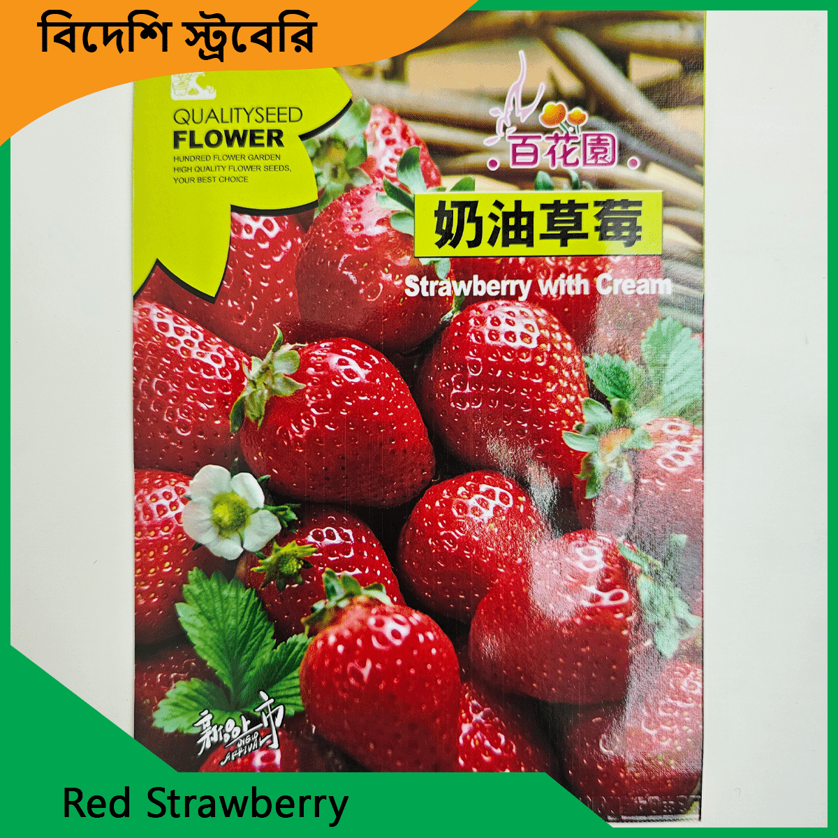 Strawberry Seeds - লাল ও সাদা বিদেশি স্ট্রবেরির বীজ