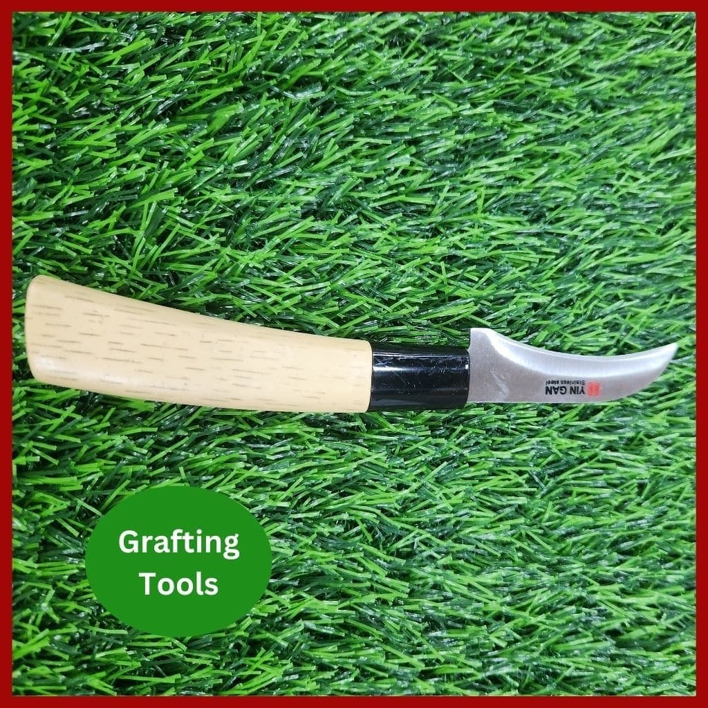 Grafting knife Tools - প্রফেশনাল নার্সারি গ্রাফটিং মাস্টার ছুরি 4