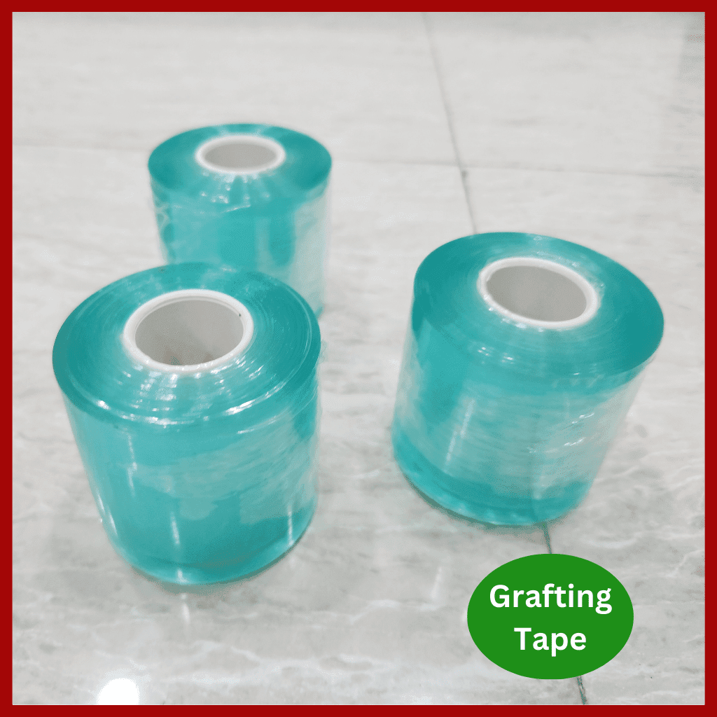 Grafting Tape | গ্রাফটিং টেপ 5