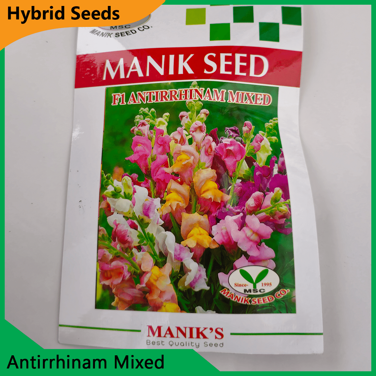 Deshi Flower Seeds - 35+ দেশি ফুলের বীজ 6