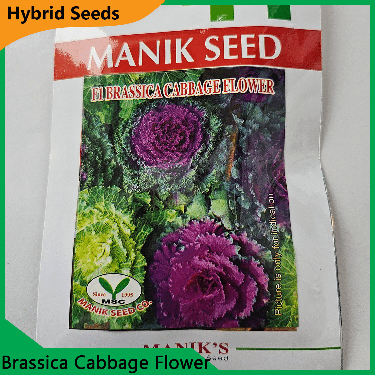 Deshi Flower Seeds - 35+ দেশি ফুলের বীজ 10