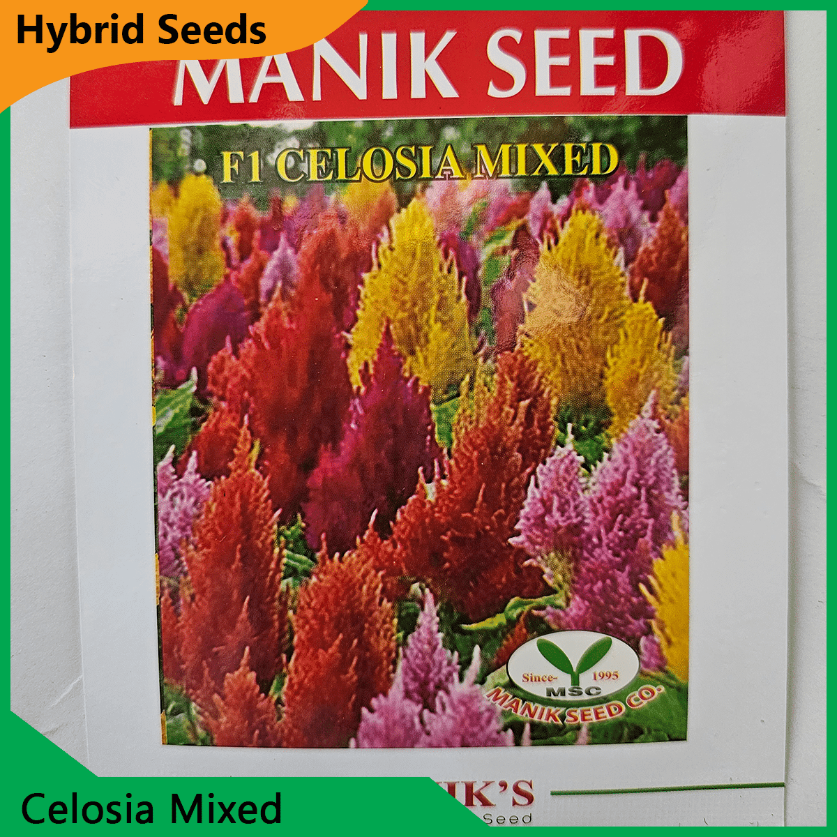 Deshi Flower Seeds - 35+ দেশি ফুলের বীজ 13