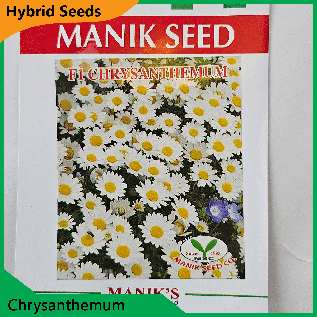 Deshi Flower Seeds - 35+ দেশি ফুলের বীজ 14