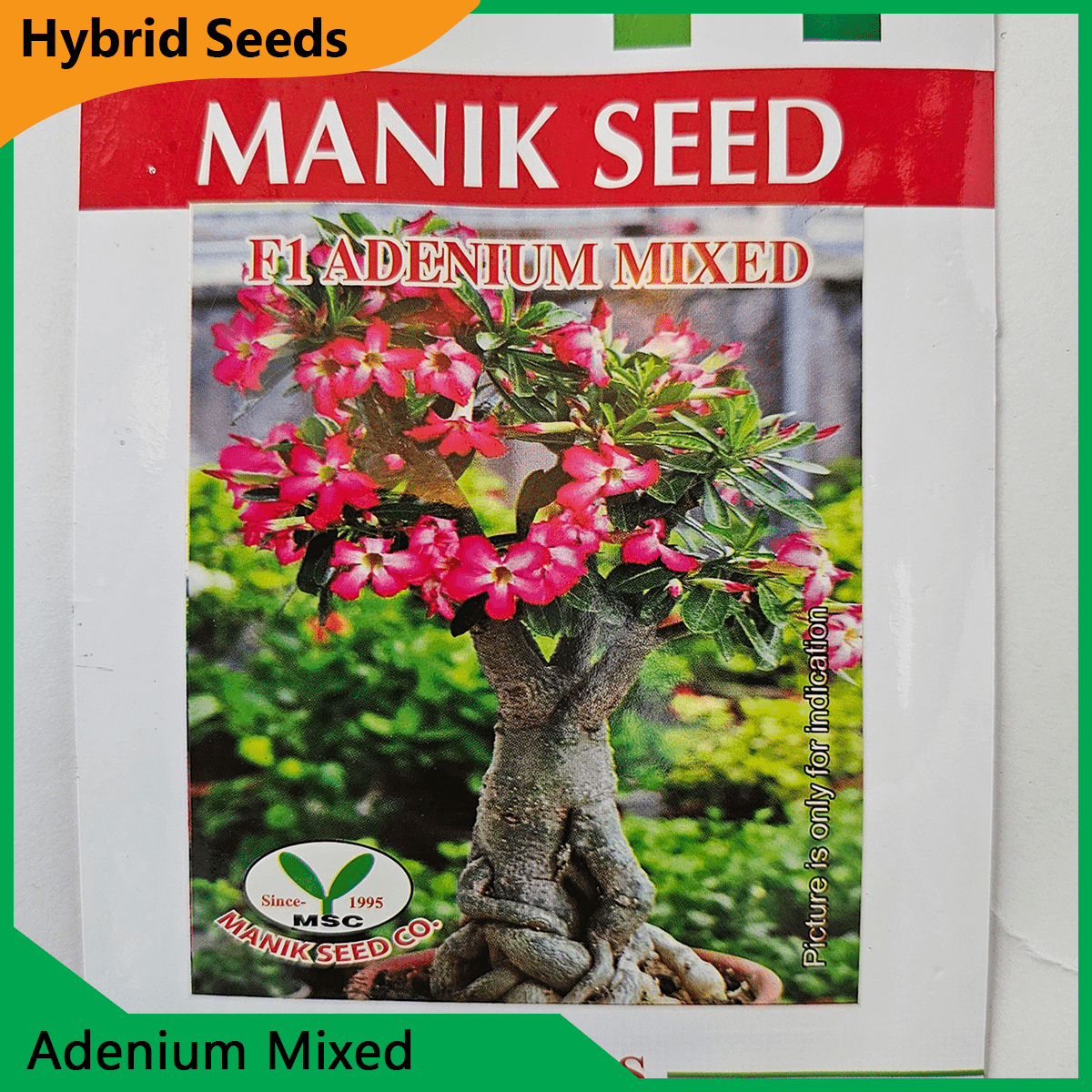 Deshi Flower Seeds - 35+ দেশি ফুলের বীজ