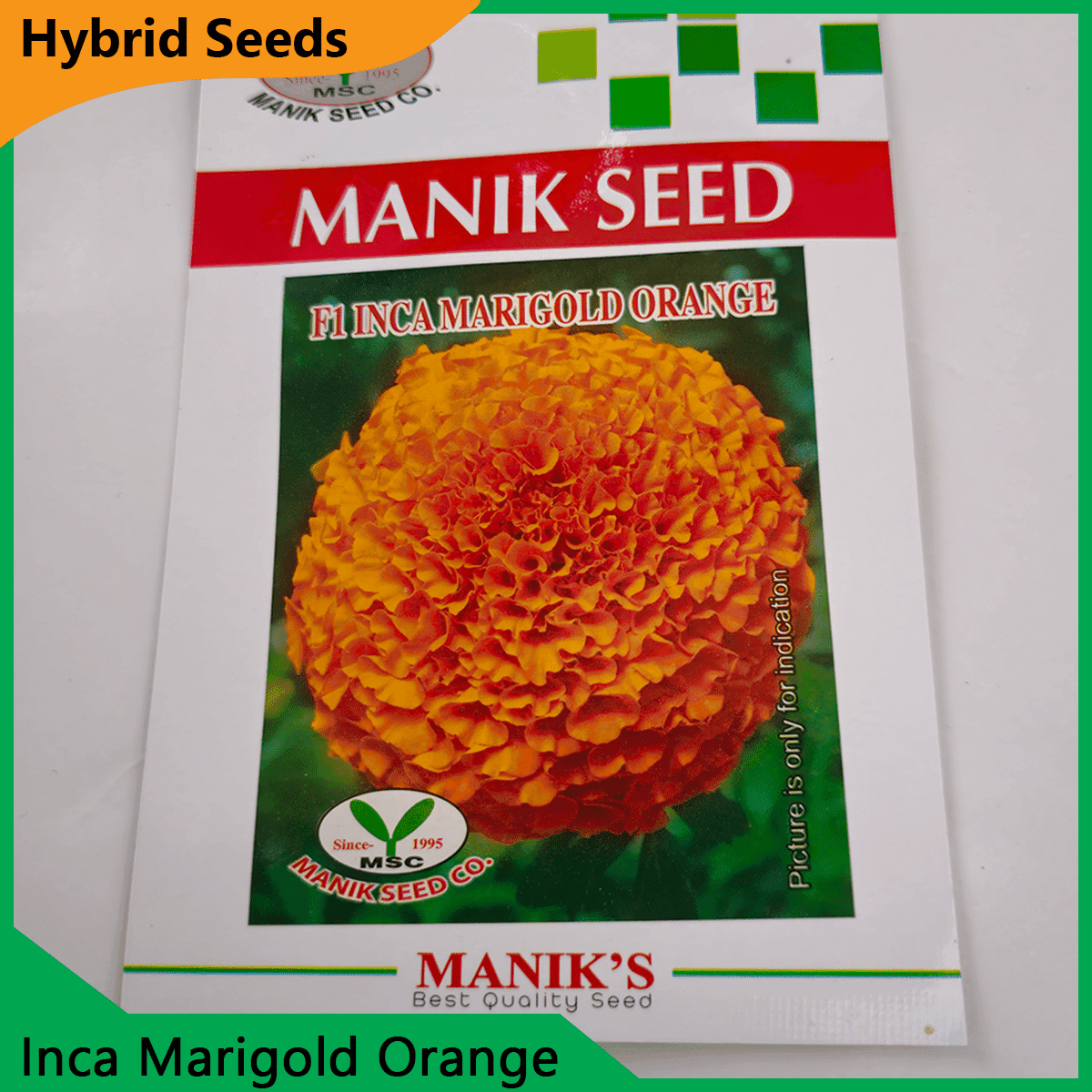 Deshi Flower Seeds - 35+ দেশি ফুলের বীজ 22