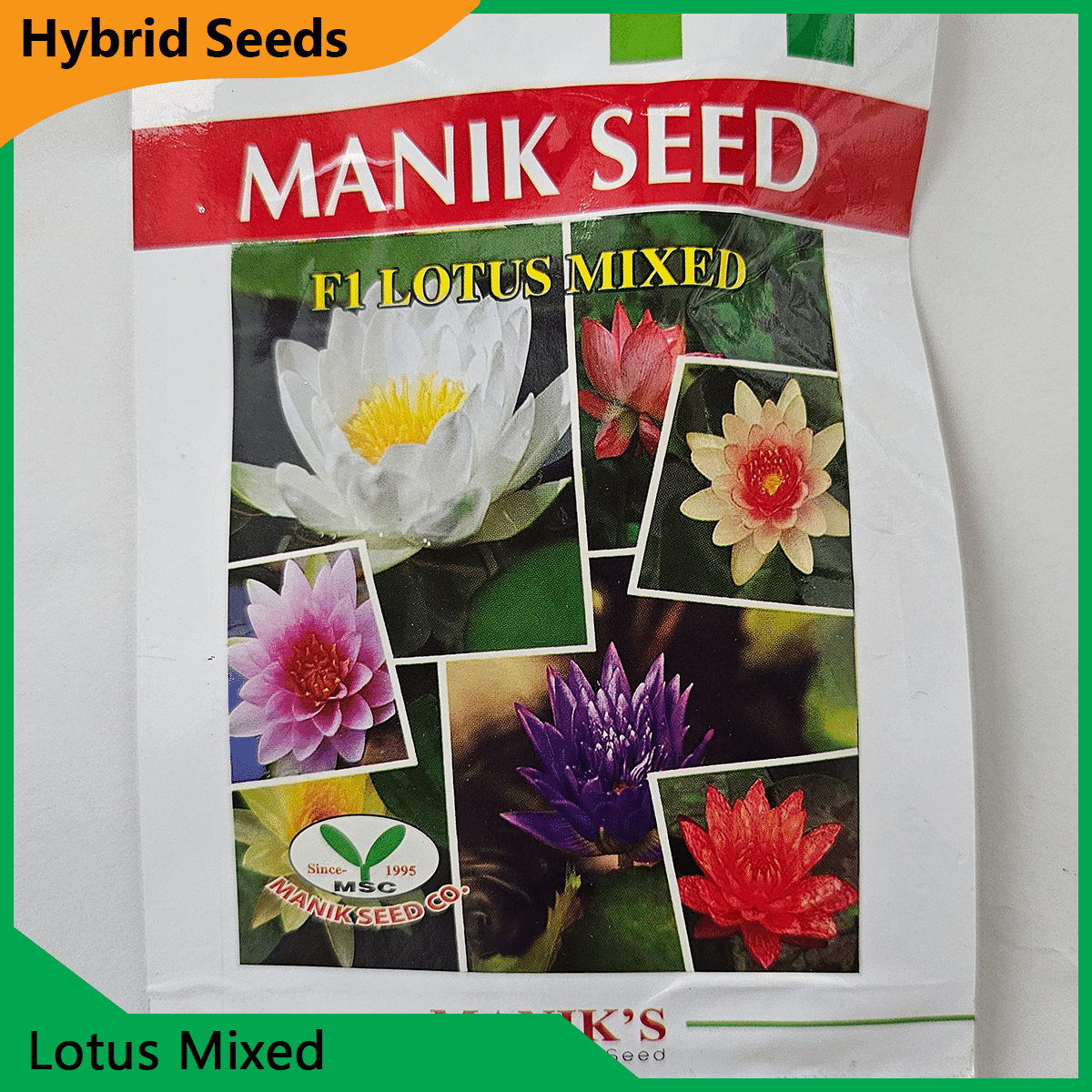Deshi Flower Seeds - 35+ দেশি ফুলের বীজ 25