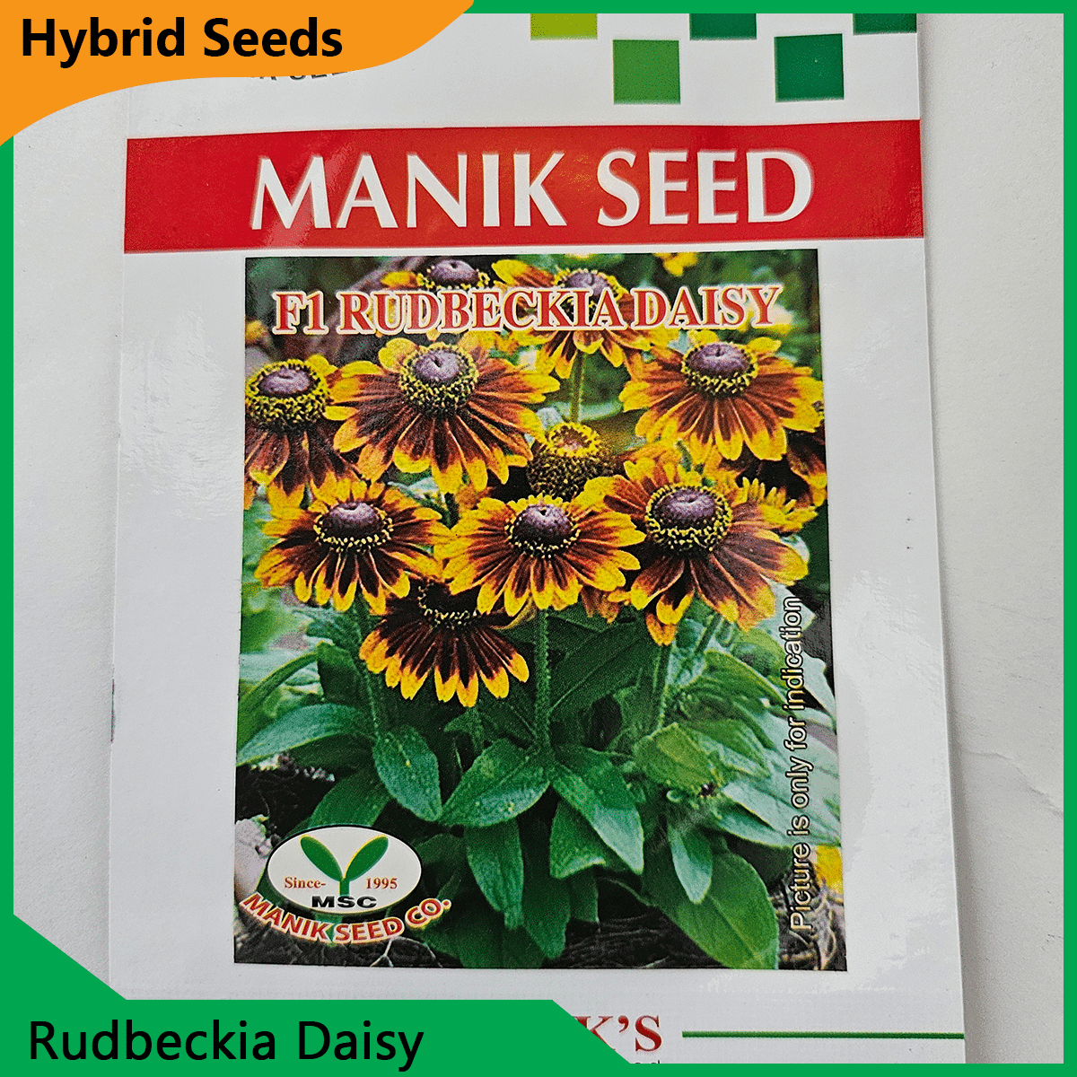 Deshi Flower Seeds - 35+ দেশি ফুলের বীজ 30