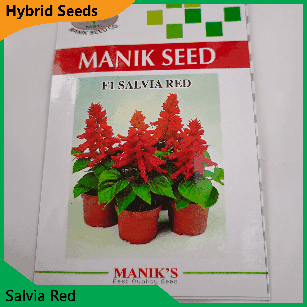 Deshi Flower Seeds - 35+ দেশি ফুলের বীজ 32