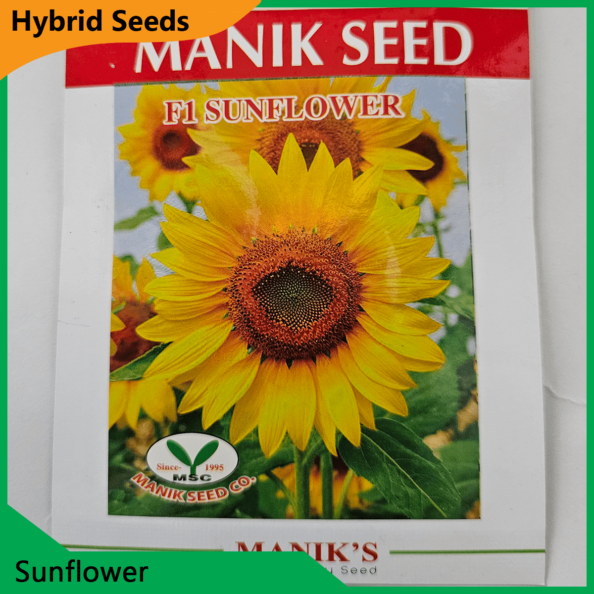 Deshi Flower Seeds - 35+ দেশি ফুলের বীজ 34