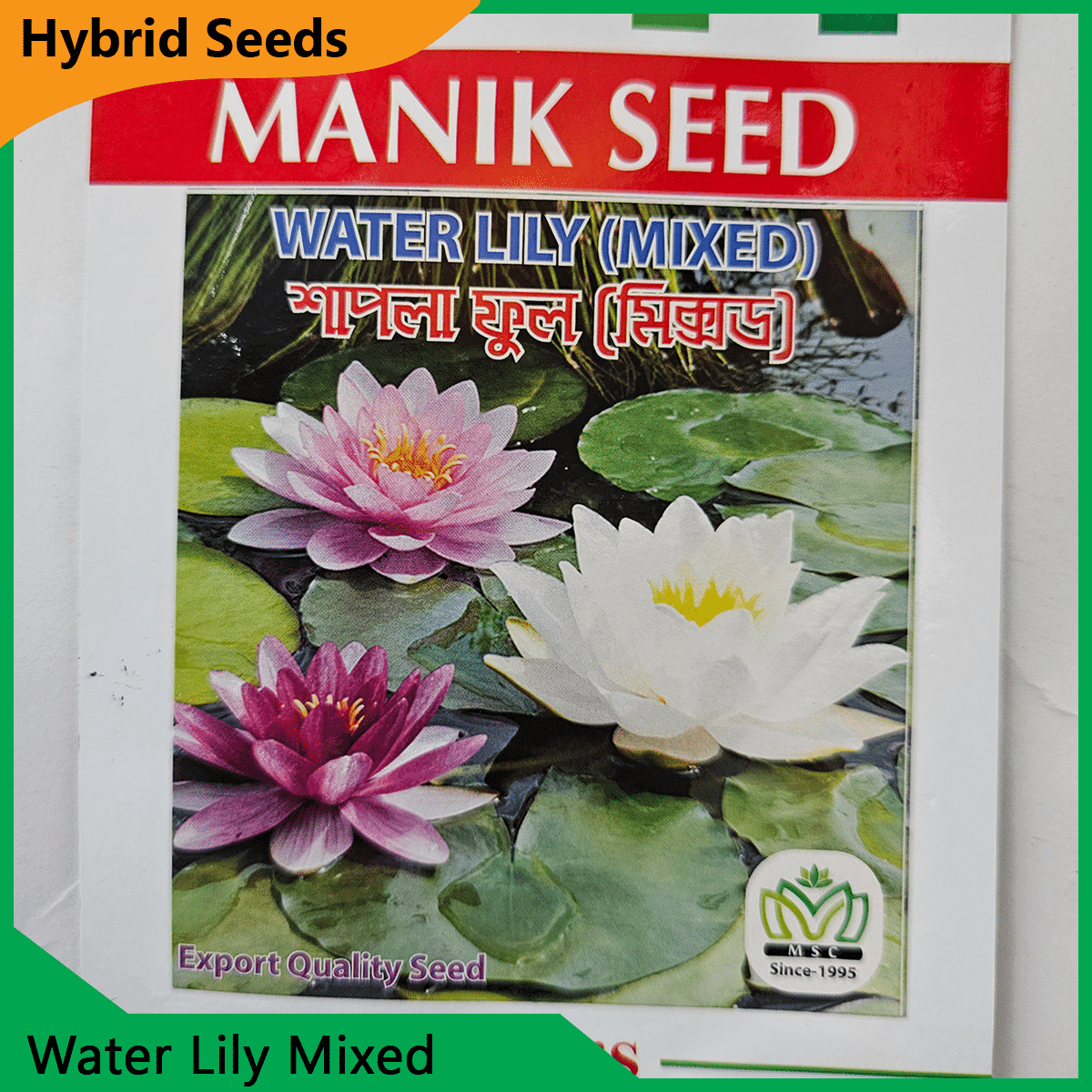 Deshi Flower Seeds - 35+ দেশি ফুলের বীজ 3