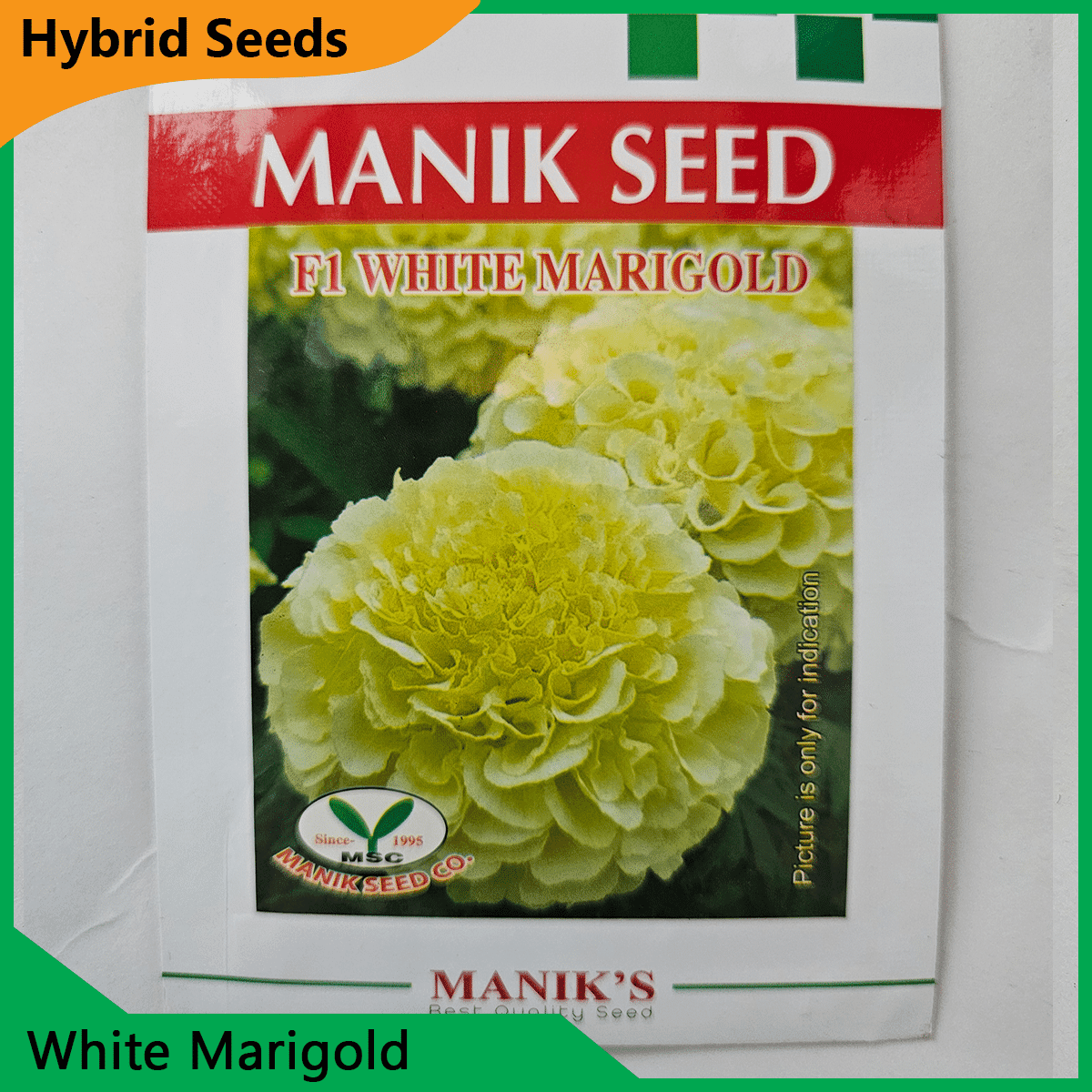 Deshi Flower Seeds - 35+ দেশি ফুলের বীজ 4