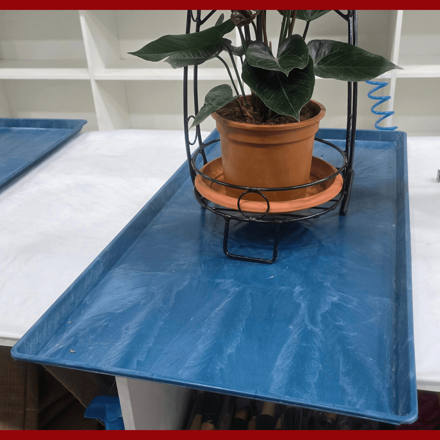 Plastic Tray For Indoor plant - Small Geo Pot Tray