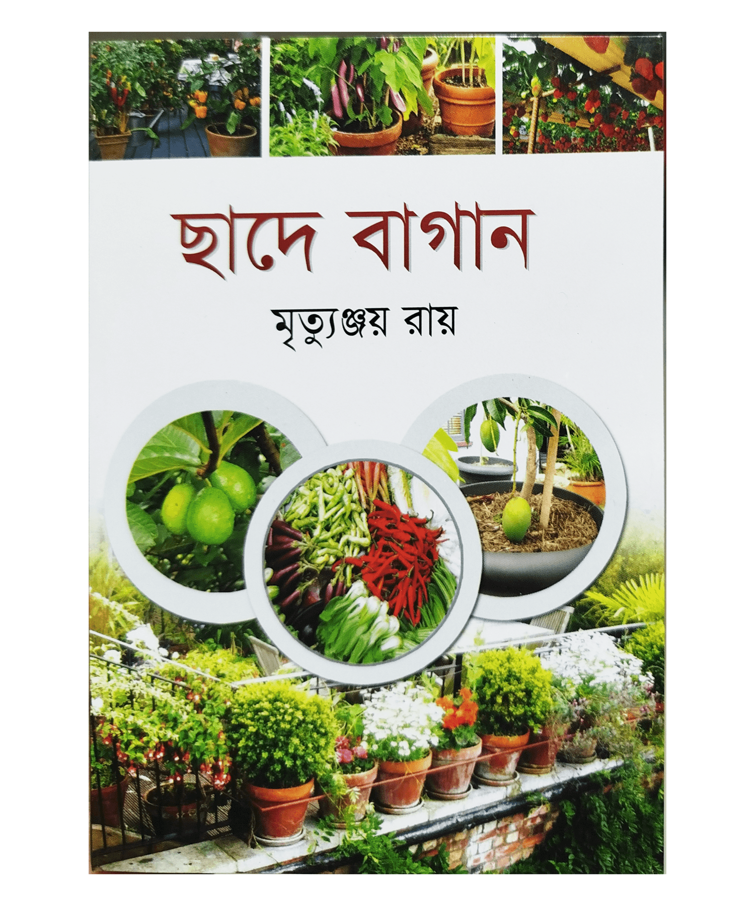 Roof Garden - ছাদে বাগান - মৃত্যুঞ্জয় রায়
