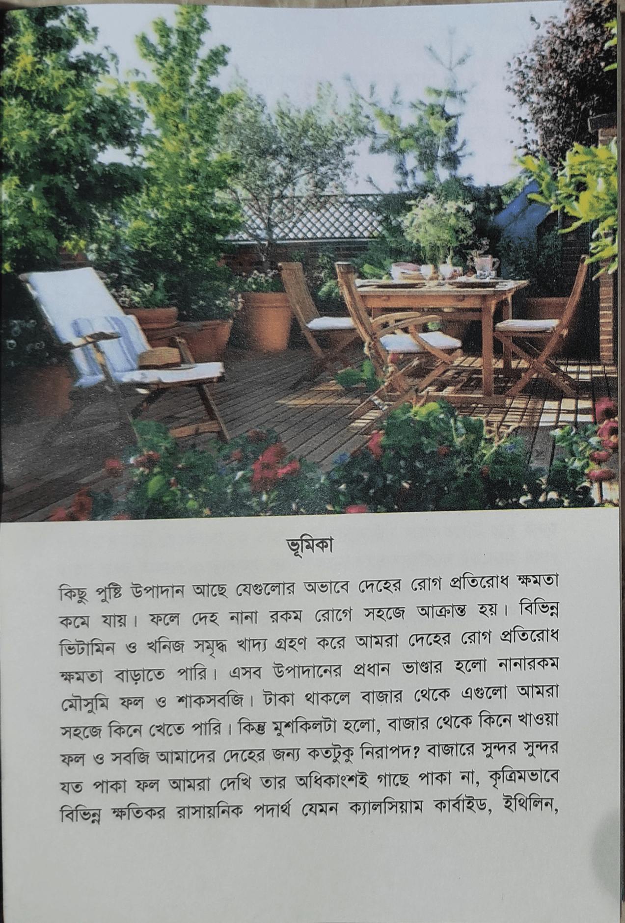 Roof Garden - ছাদে বাগান - মৃত্যুঞ্জয় রায় 3