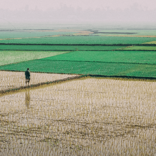 Agriculture information of Bangladesh - বাংলাদেশ কৃষির মৌলিক তথ্যাবলি