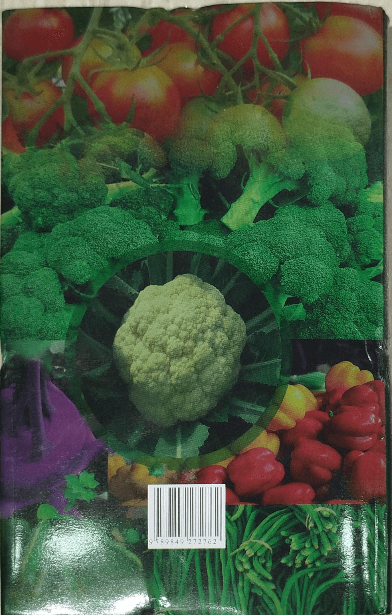 Vegetable cultivation throughout the year - বারোমাস সবজি চাষ (মৃত্যুঞ্জয় রায়) 2