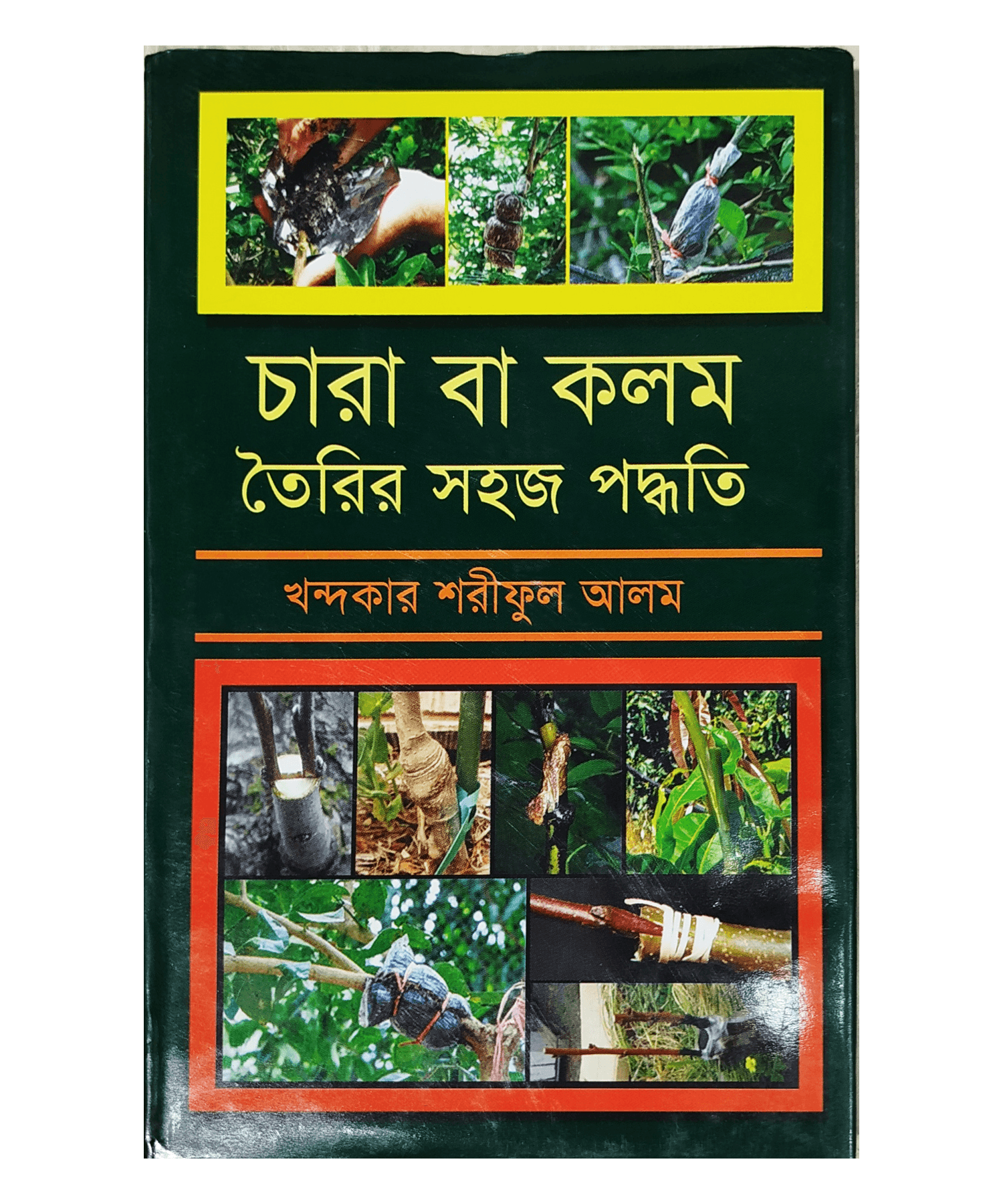 Simple method of making seedlings or cuttings  - চারা বা কলম তৈরির সহজ পদ্ধতি (খন্দকার শরীফুল আলম)