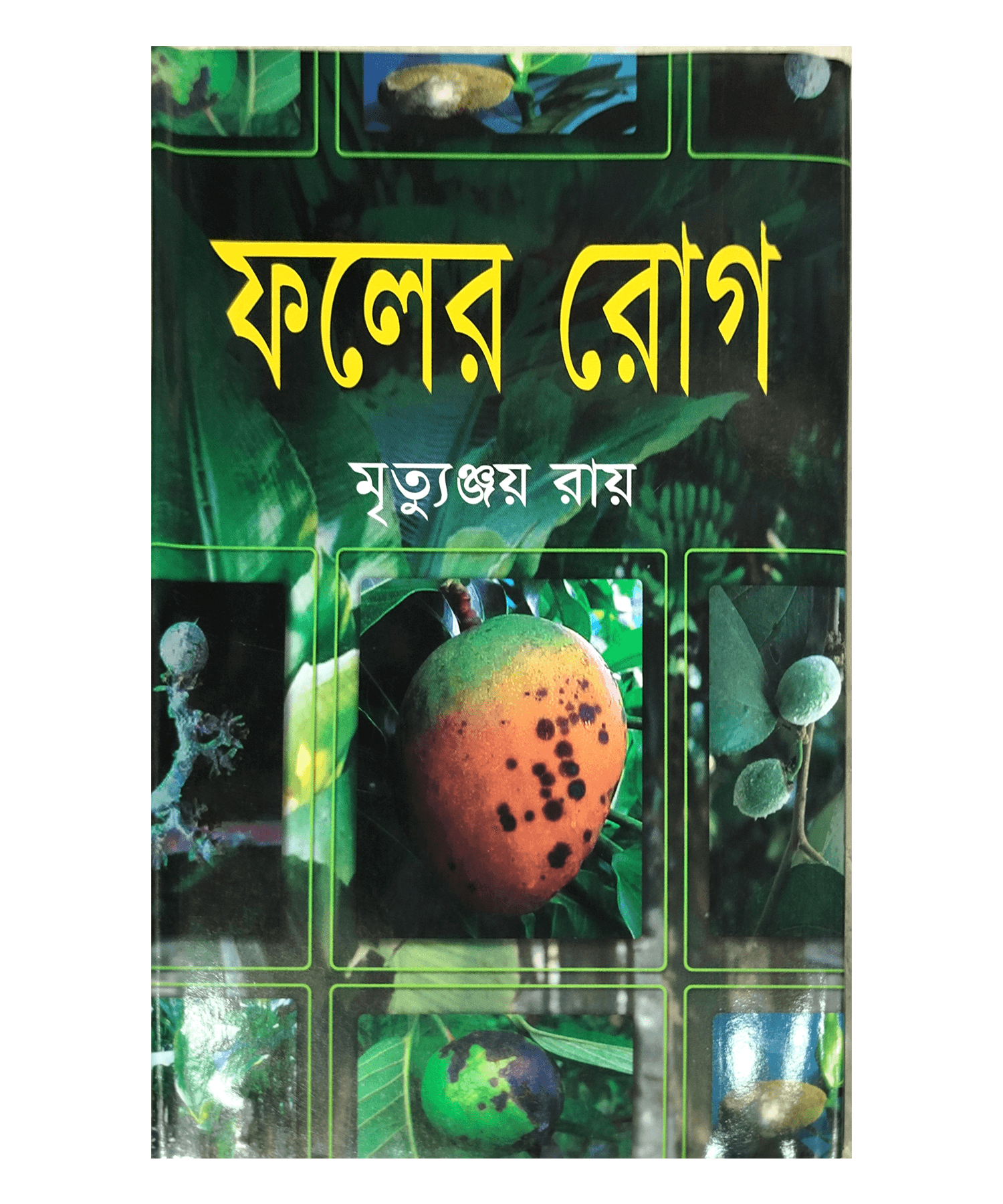 Fruit diseases - ফলের রোগ (মৃত্যুঞ্জয় রায়)