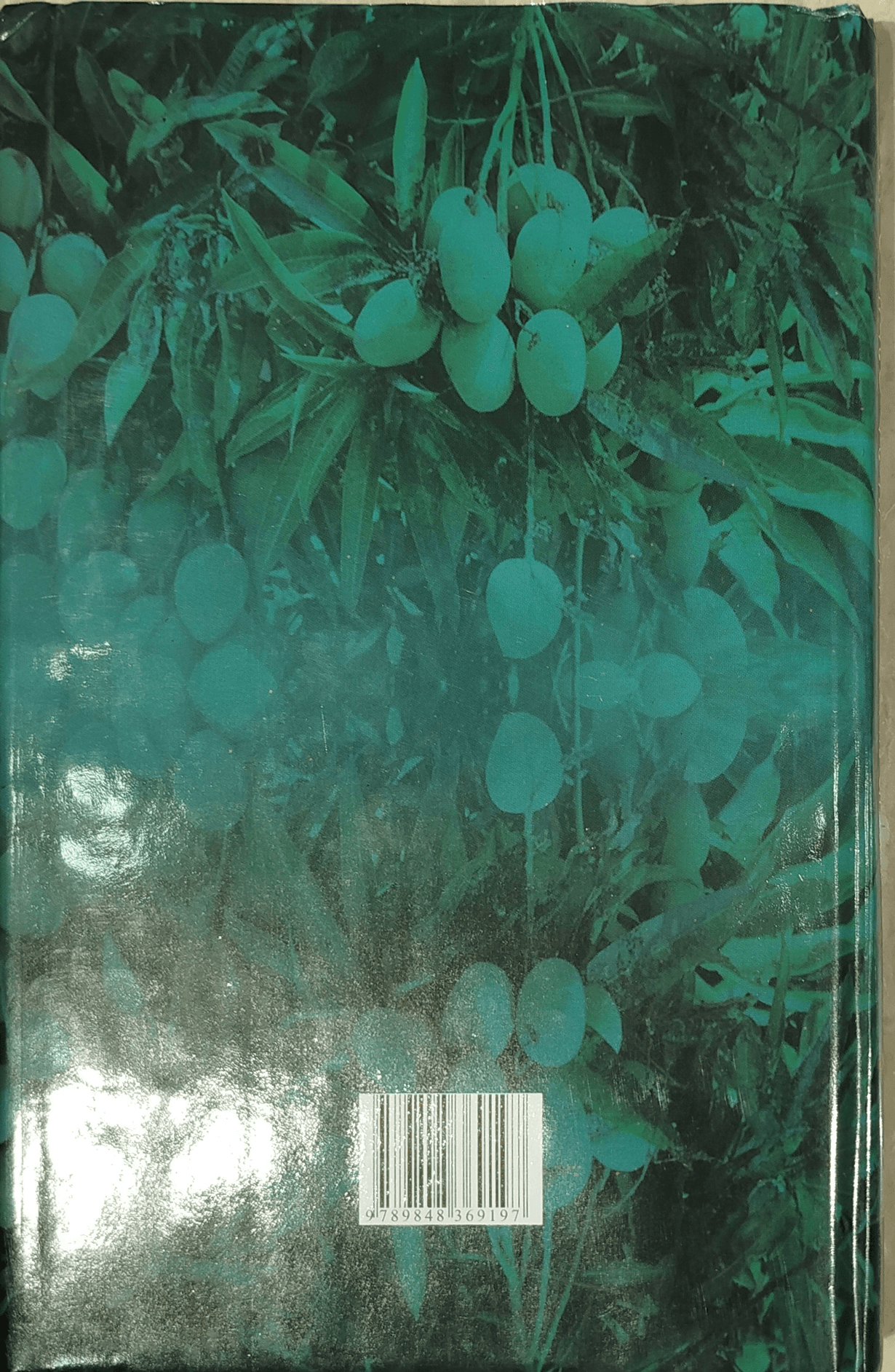 Cultivation of fruits in tubs and in the field 2