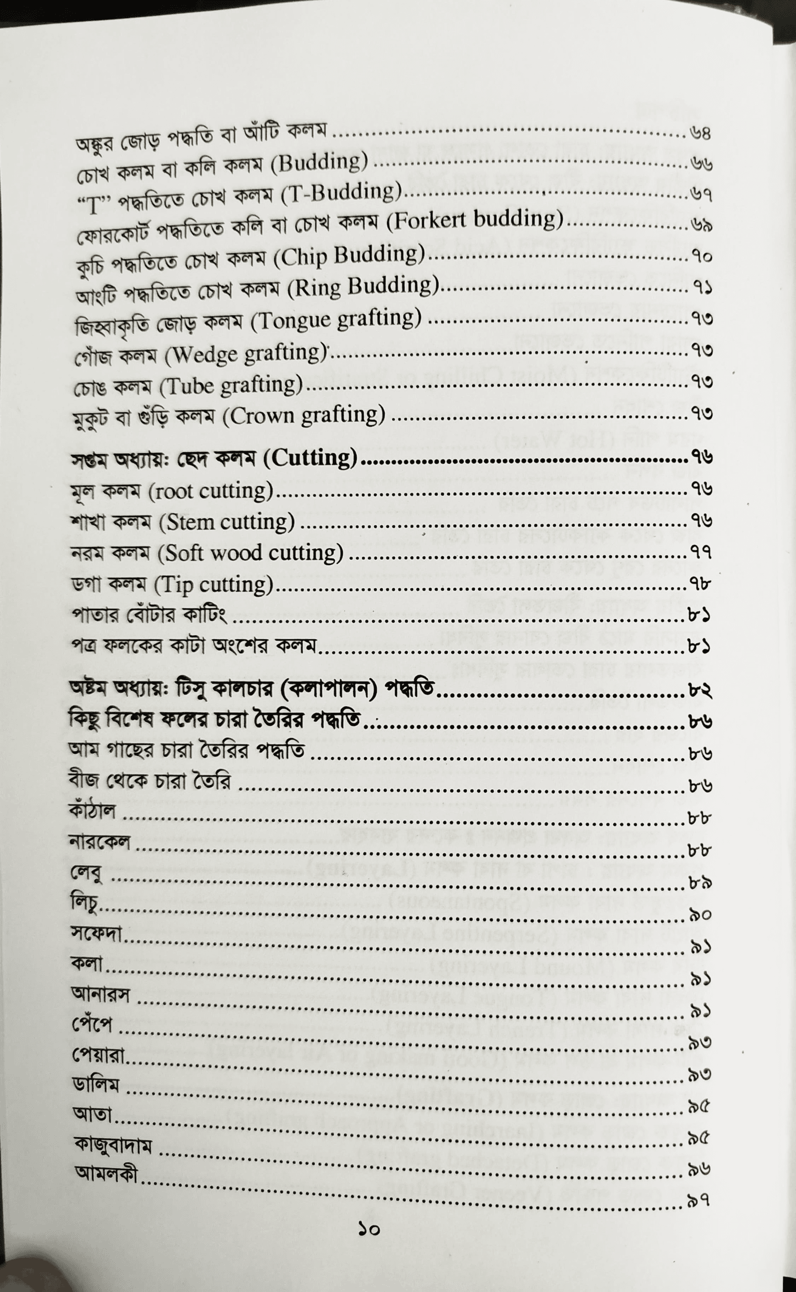 Simple method of making seedlings or cuttings  - চারা বা কলম তৈরির সহজ পদ্ধতি (খন্দকার শরীফুল আলম) 4