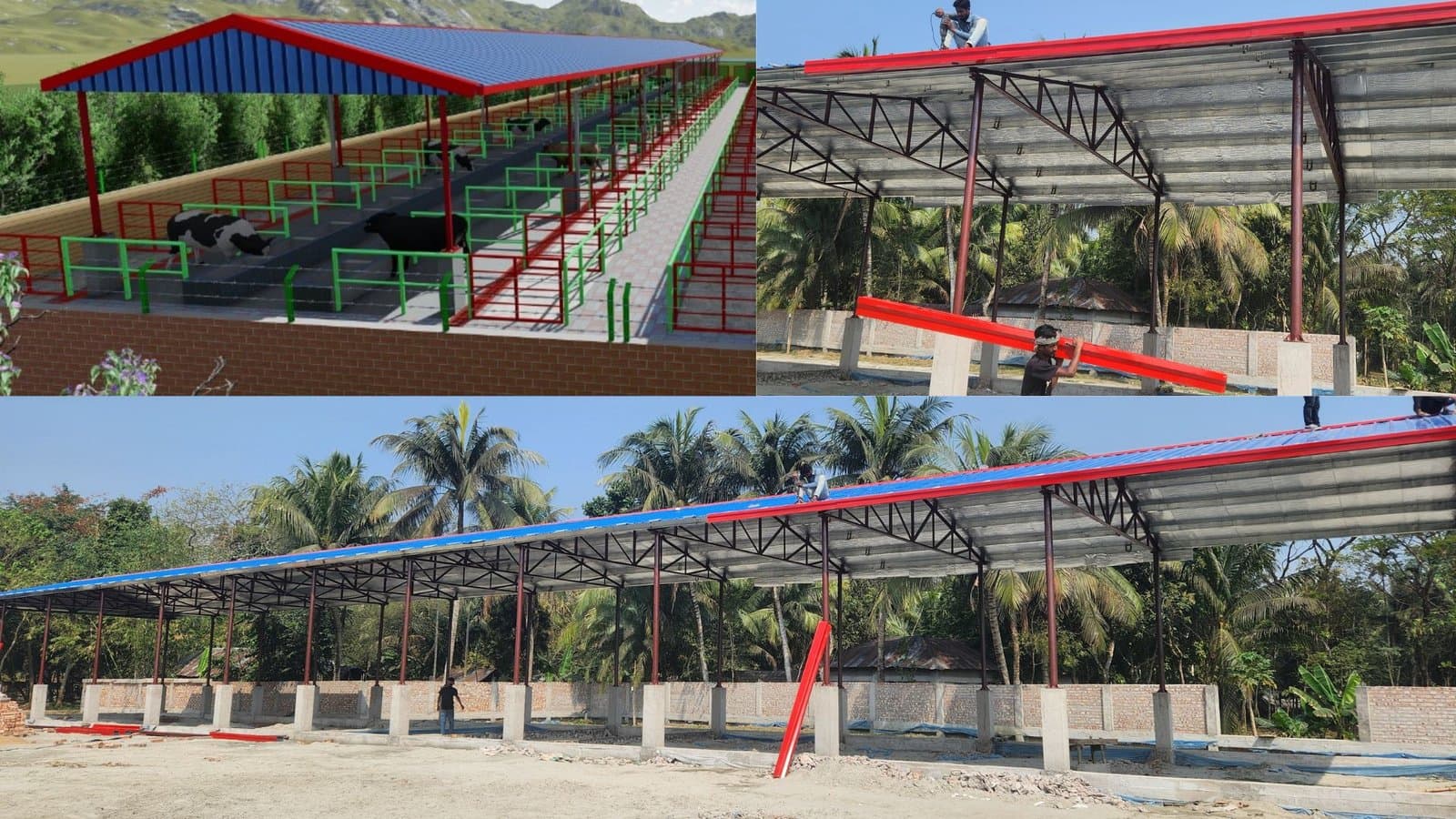 Medium Cattle Sheds Design - Dairy Farm Plan - মাঝারি গরুর শেড বা ডেইরি ফার্ম ডিজাইন 4