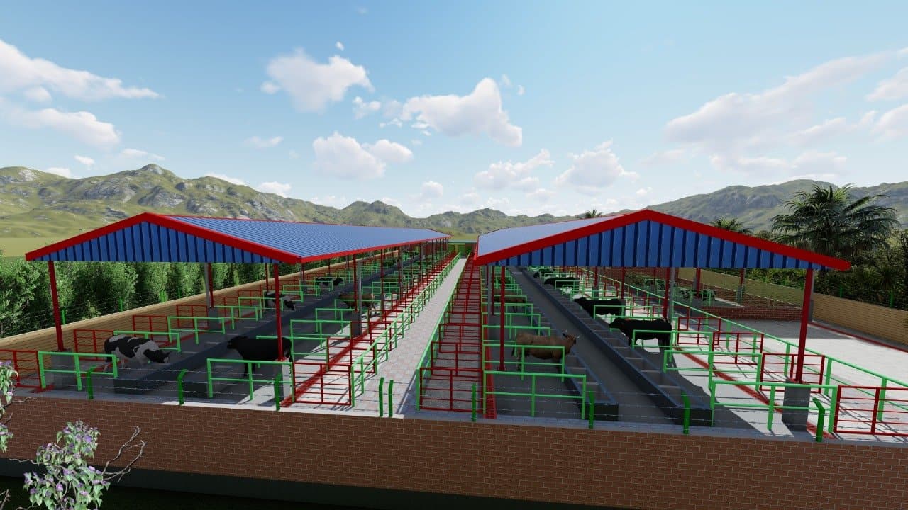 Medium Cattle Sheds Design - Dairy Farm Plan - মাঝারি গরুর শেড বা ডেইরি ফার্ম ডিজাইন 2