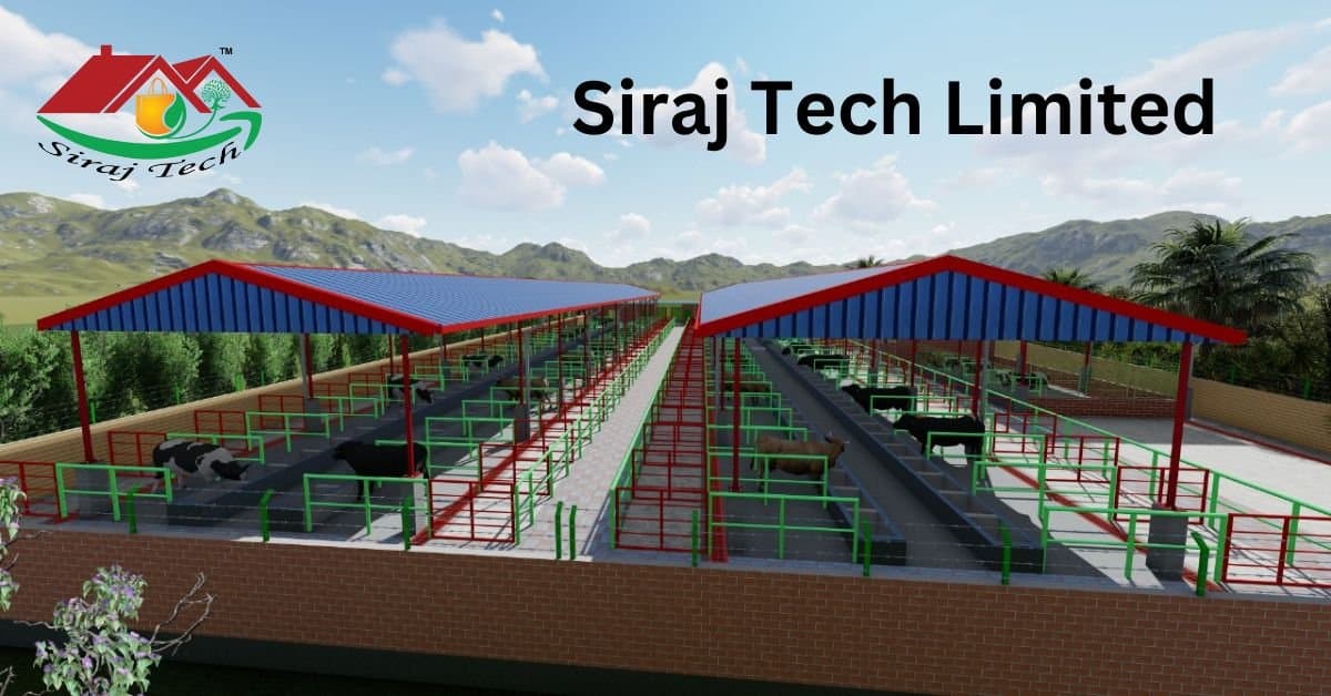Modern Cow Shed Design in Khulna | Best Cattle Shed Plan with Cost