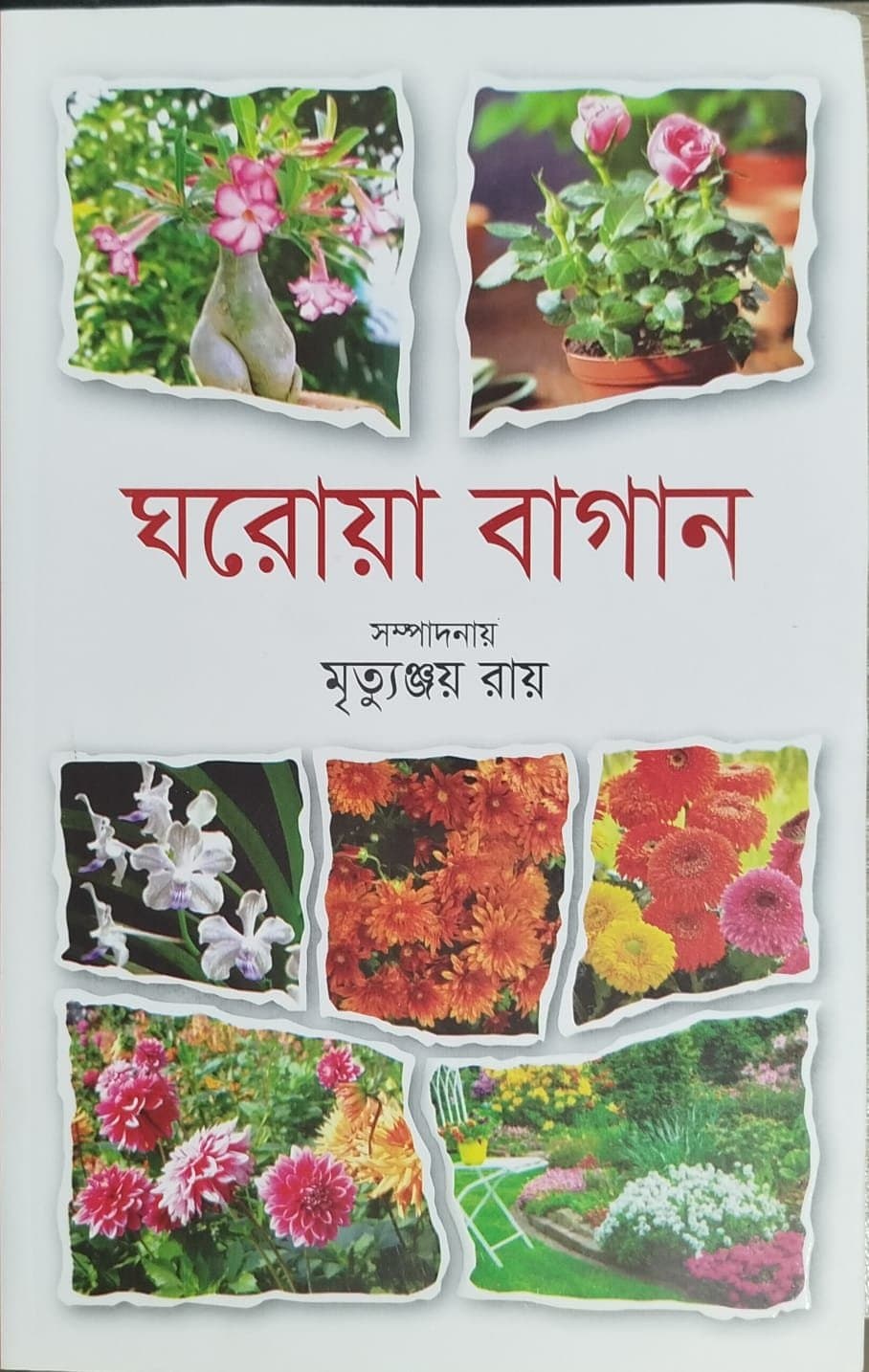 Home Garden (Mrityunjay Roy) - ঘরোয়া বাগান (মৃত্যুঞ্জয় রায়)