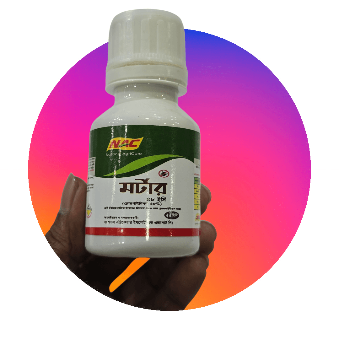 Mortar 48 EC – মর্টার ৪৮ ইসি কীটনাশক – ক্লোরপাইরিফস সমৃদ্ধ বহুমুখী কীটনাশক 2