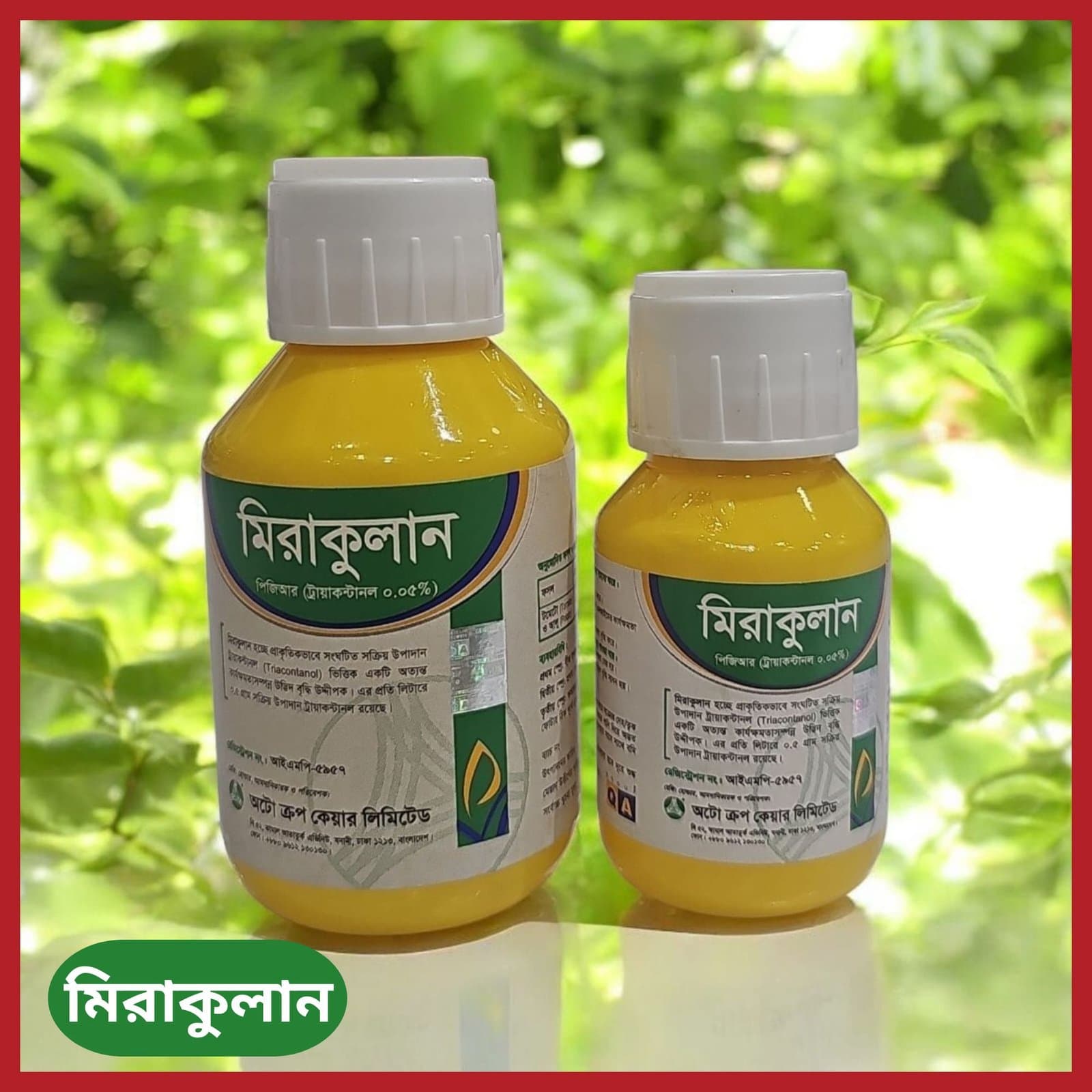 Miraculan | Triacontanol ভিত্তিক উদ্ভিদ বৃদ্ধি উদ্দীপক