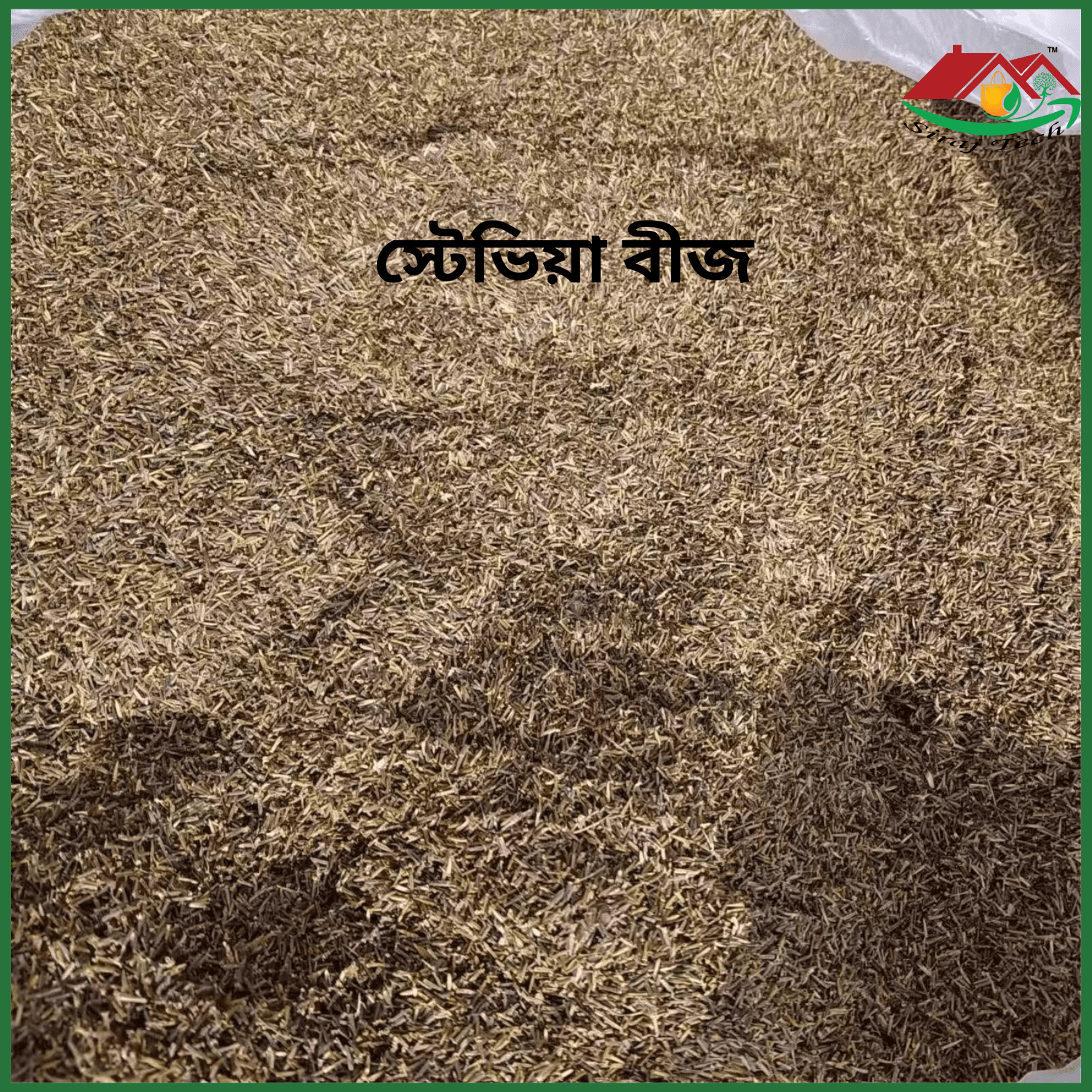 Stevia Seeds Price in Bangladesh | স্টেভিয়া বীজ চাষ ও উপকারিতা 2
