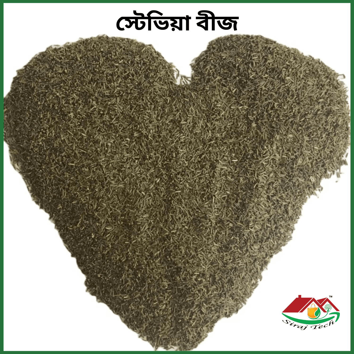 Stevia Seeds Price in Bangladesh | স্টেভিয়া বীজ চাষ ও উপকারিতা 3