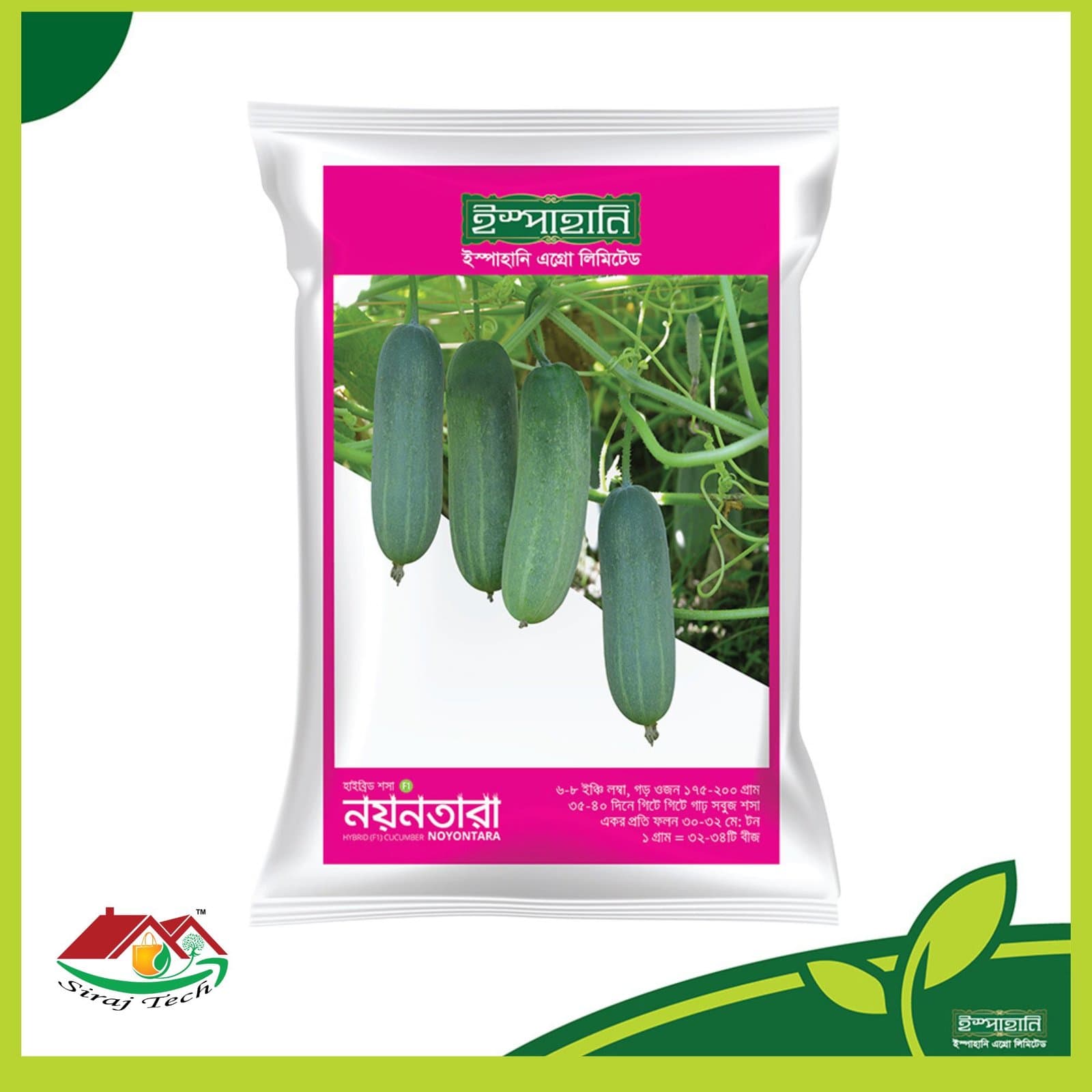 Noyontara Cucumber - Hybrid F1 - নয়নতারা হাইব্রিড শসা
