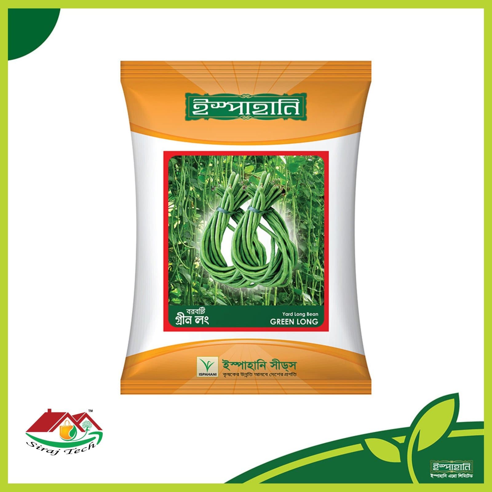 Yard Long Bean - গ্রীন লং বরবটি