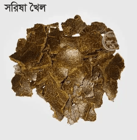 Mustard Cake - সরিষার খৈল