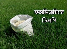 DAP Fertilizer - a reliance of the Farmer