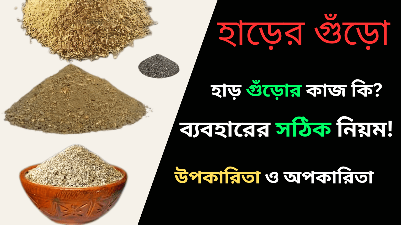 Proper use of bone powder - হাড়ের গুঁড়া ব্যবহারের সঠিক নিয়ম।