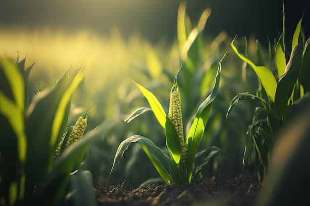 Seasonal Crop Selection - সবজি চাষের জন্য সঠিক মৌসুমি ফসল নির্বাচন