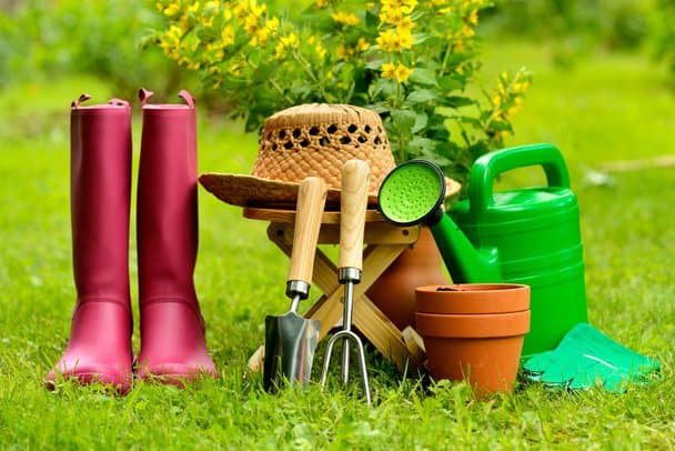 Essential materials for roof garden - ছাদ বাগানের প্রয়োজনীয় উপকরণ