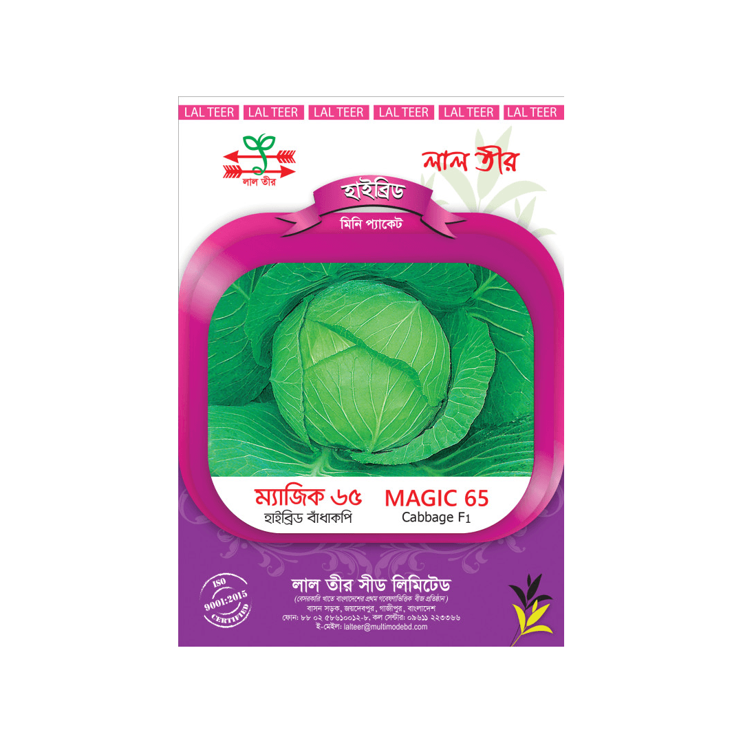 Magic 65 Cabbage F1 Hybrid Seeds | ম্যাজিক ৬৫ বাঁধাকপি হাইব্রিড বীজ
