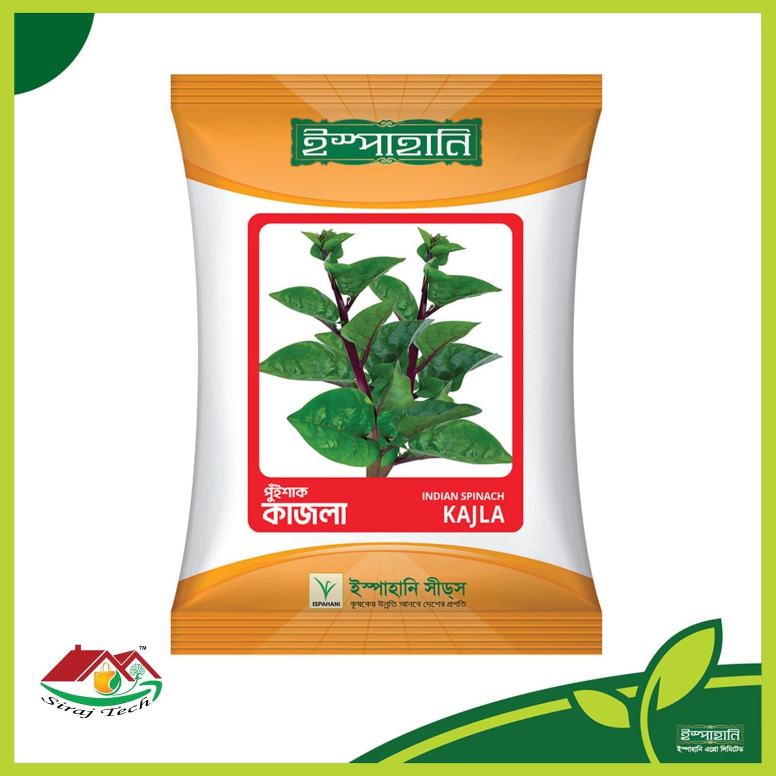 Kajla Indian Spinach - কাজলা পুঁইশাক