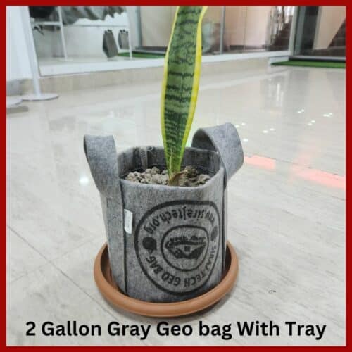 Geo Bag With Tray For Indoor plant
