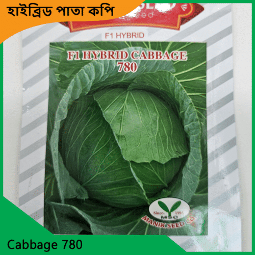 Cabbage Seeds Price