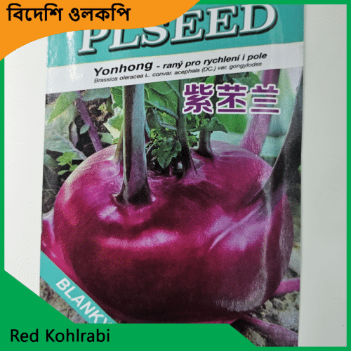 Red Kohlrabi