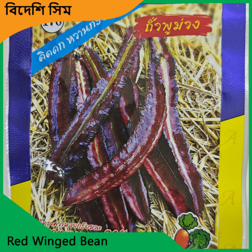 Red Winged Bean