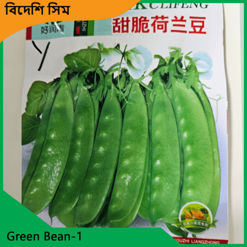 Sim Seeds Price - Green Bean 1